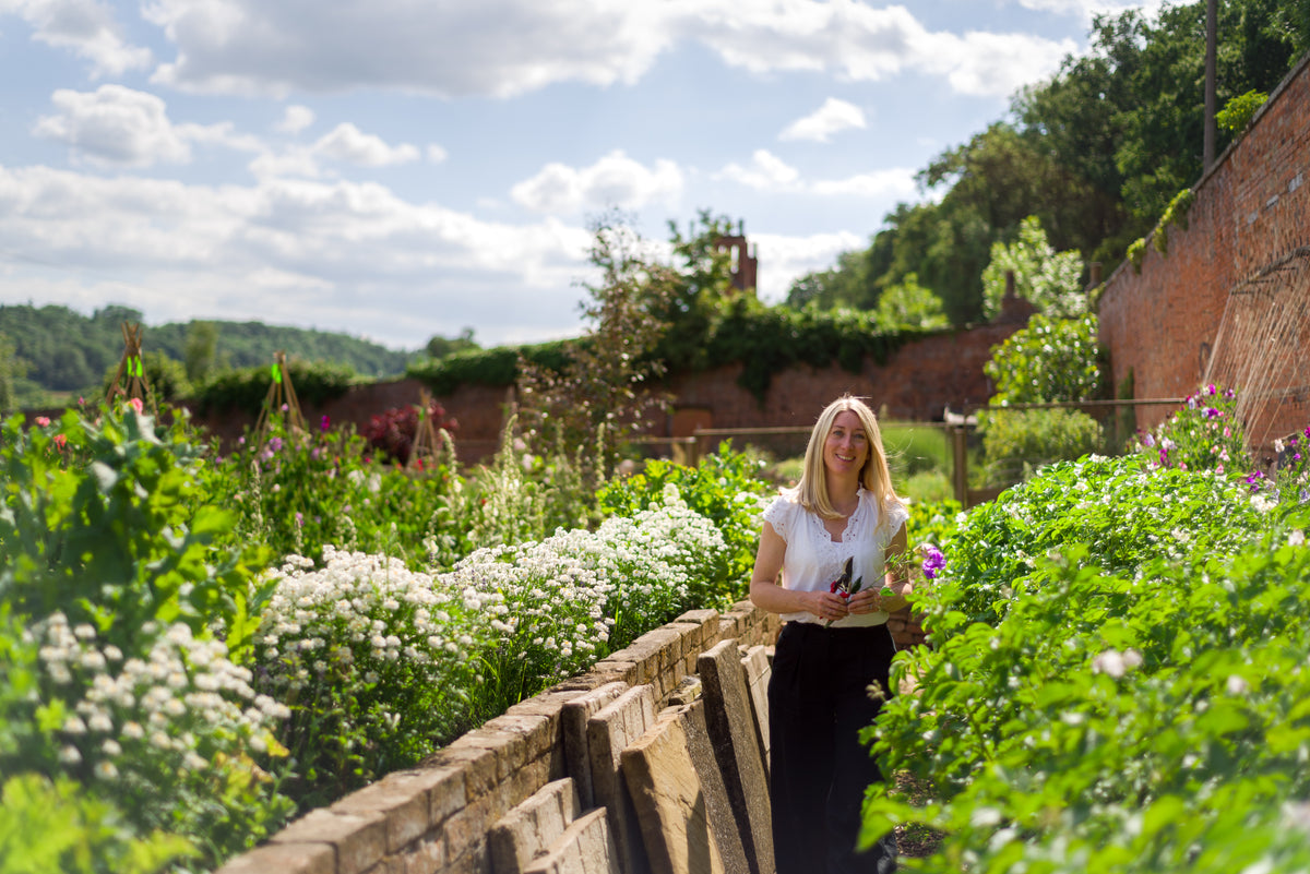 Favourite Garden View