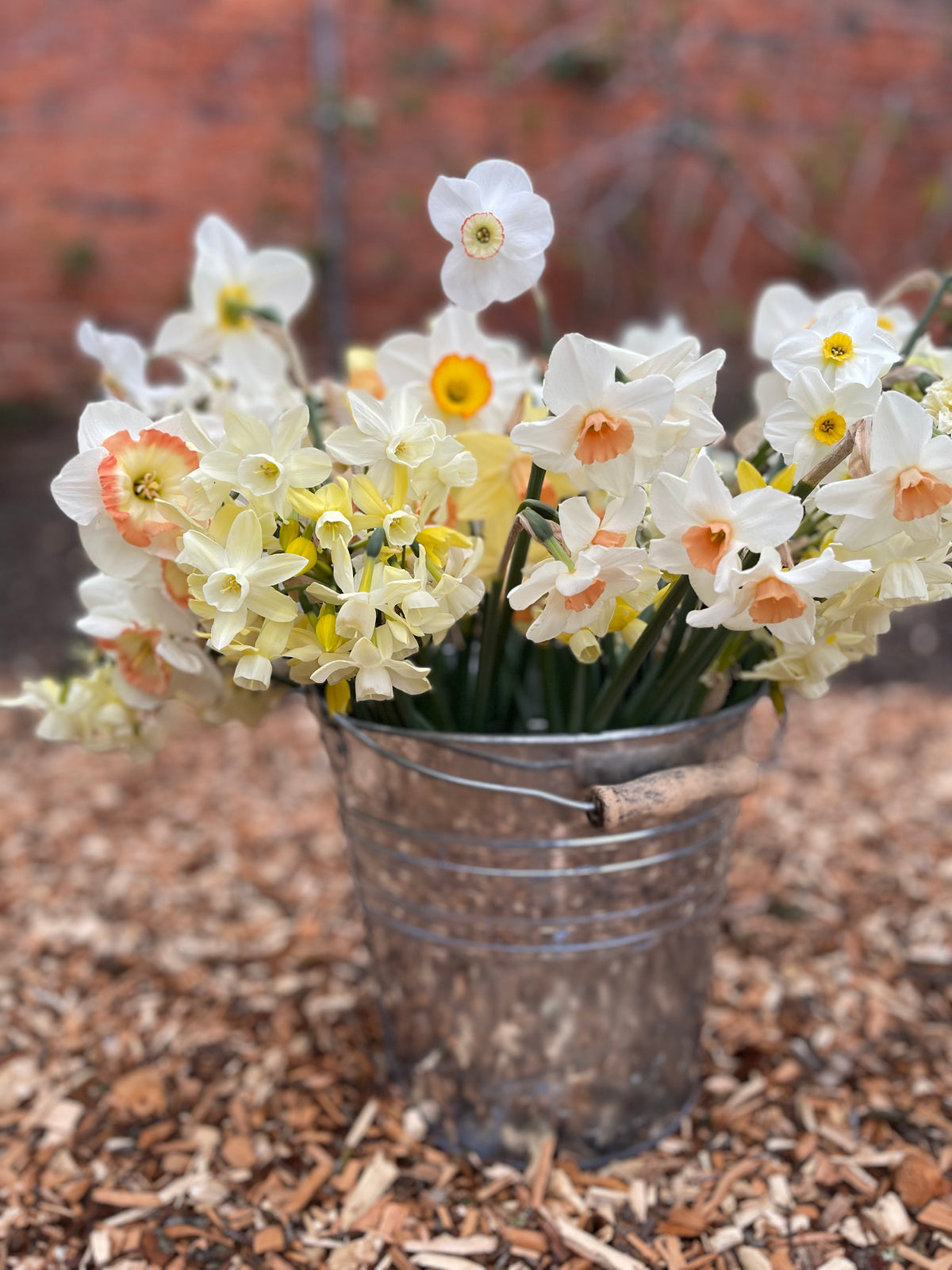 Mother's Day Pick-Your-Own Voucher