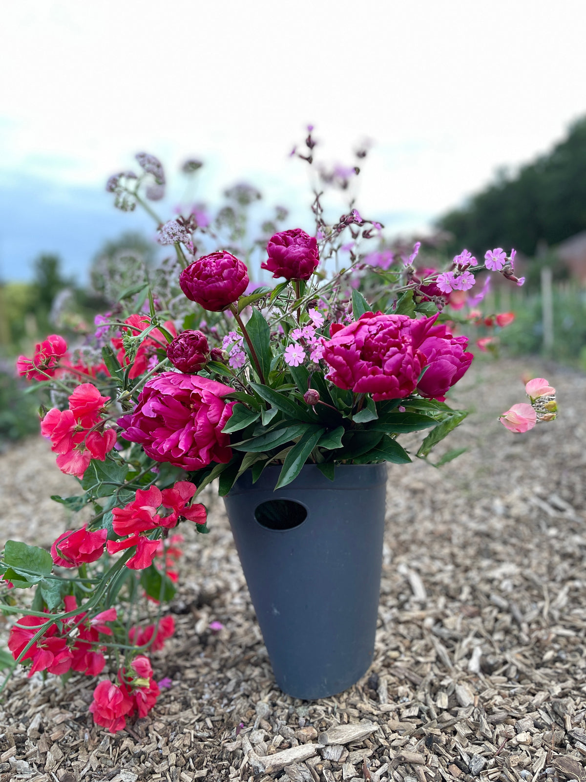 Valentine's Pick-Your-Own Voucher