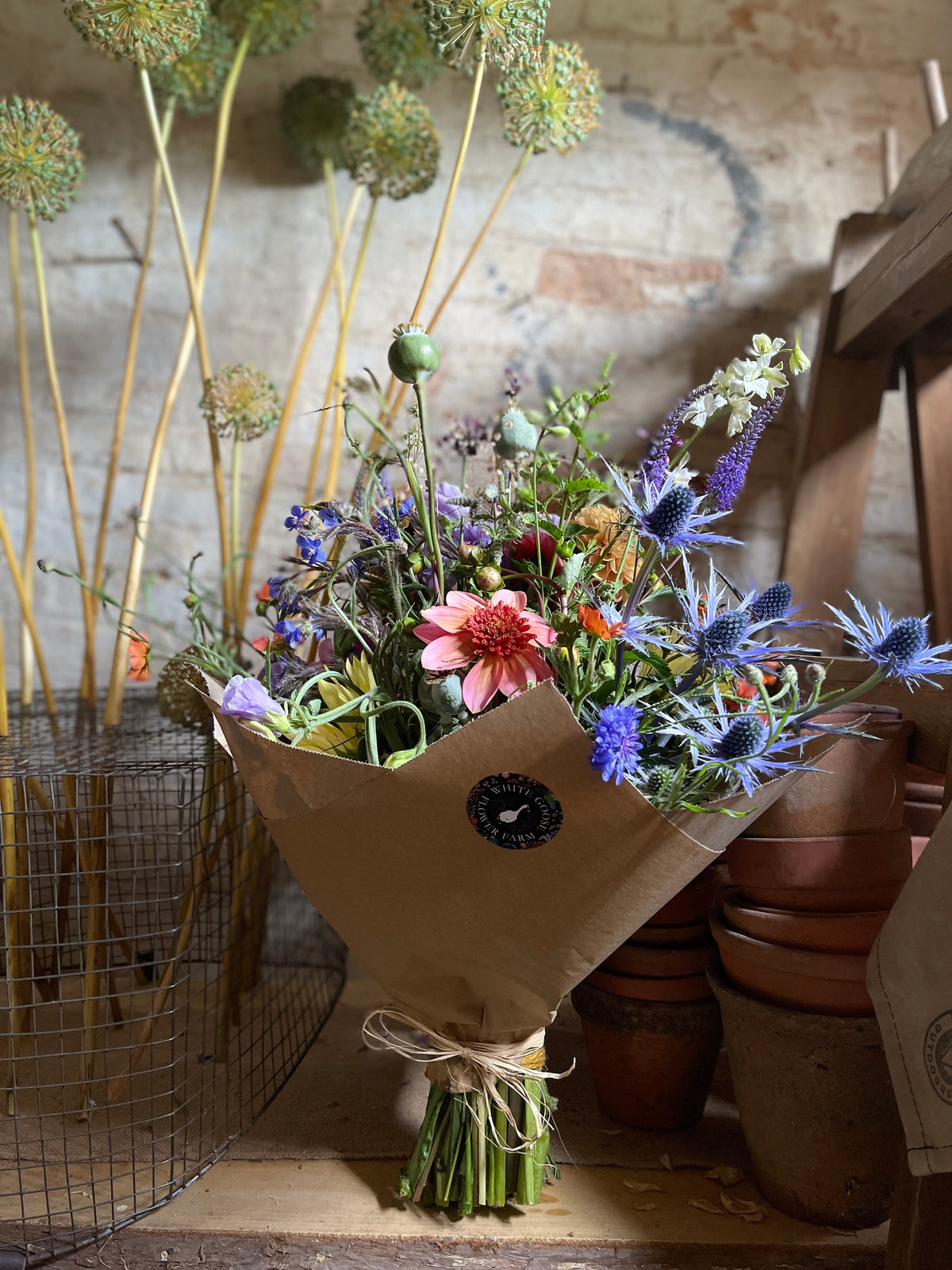 White Goose Voucher £15 - £100