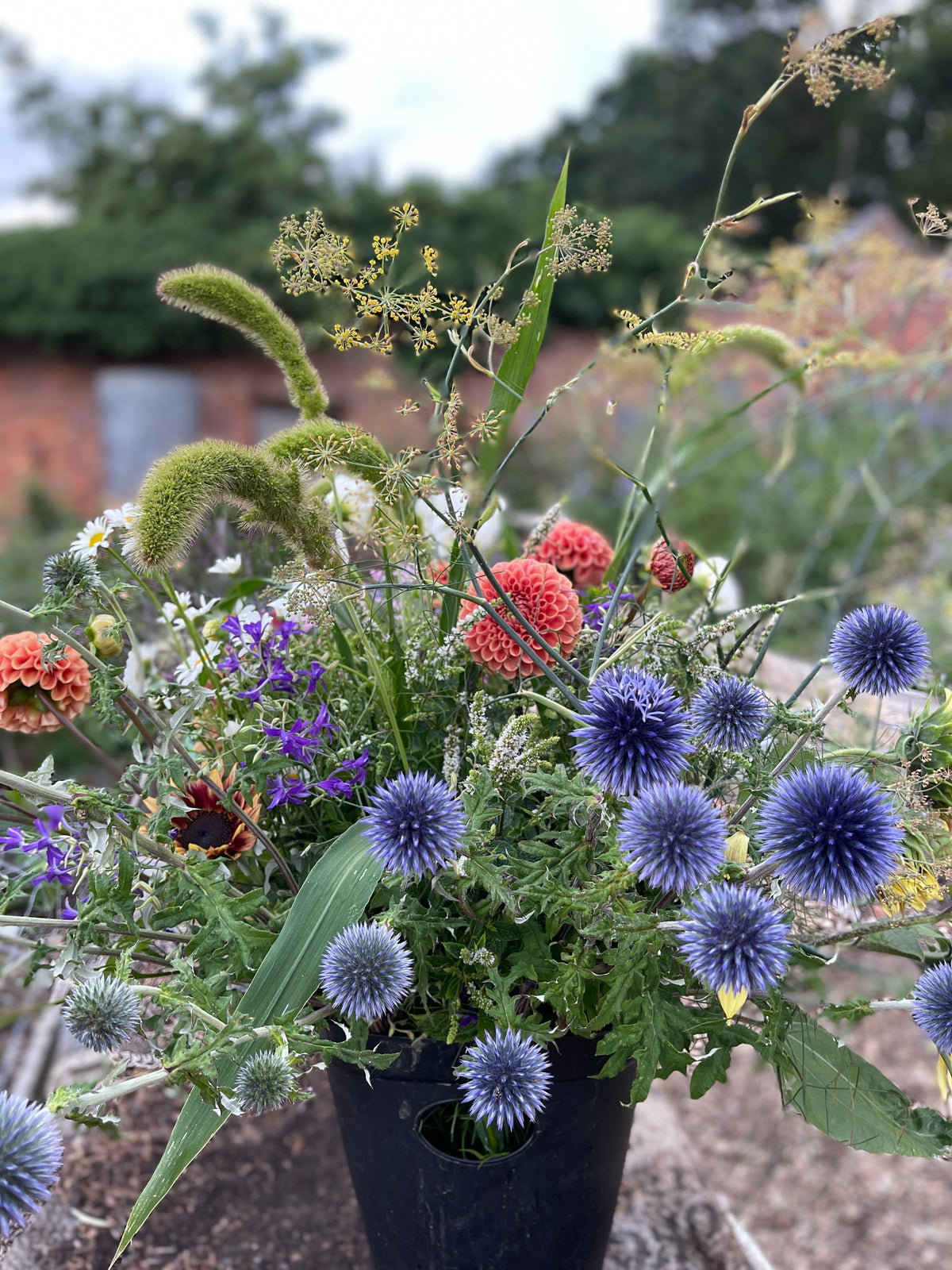 Pick-Your-Own Voucher