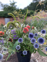 Pick-Your-Own Voucher