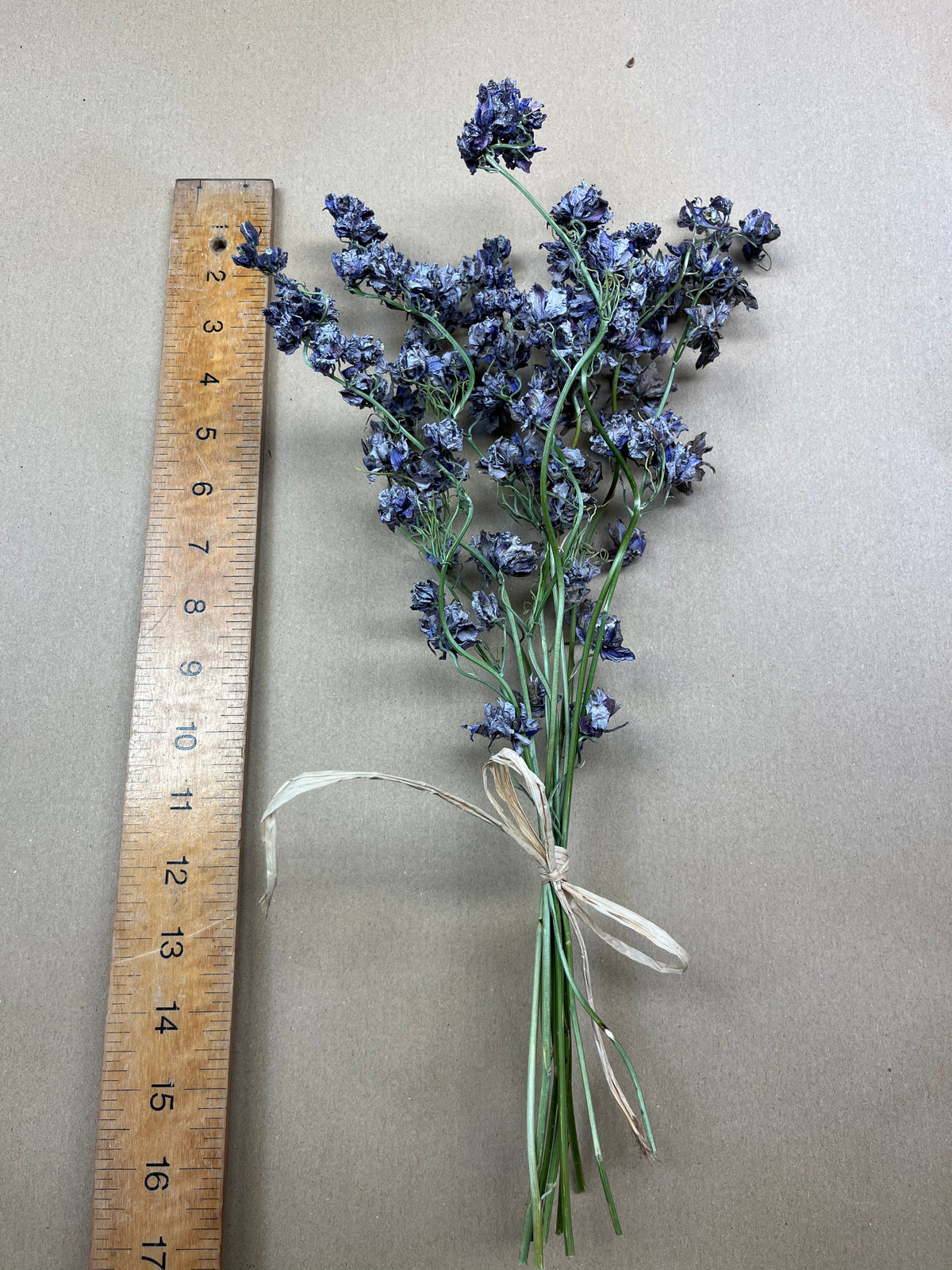 Dried Larkspur Misty Lavender