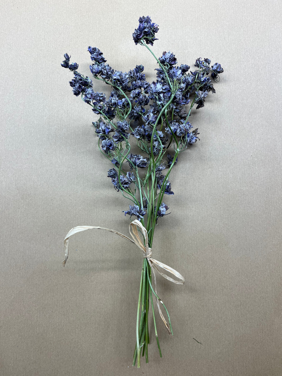 Dried Larkspur Misty Lavender