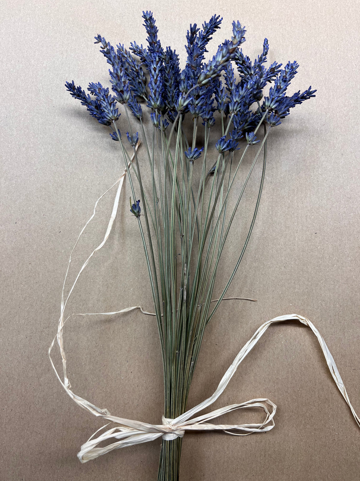 Dried Lavender