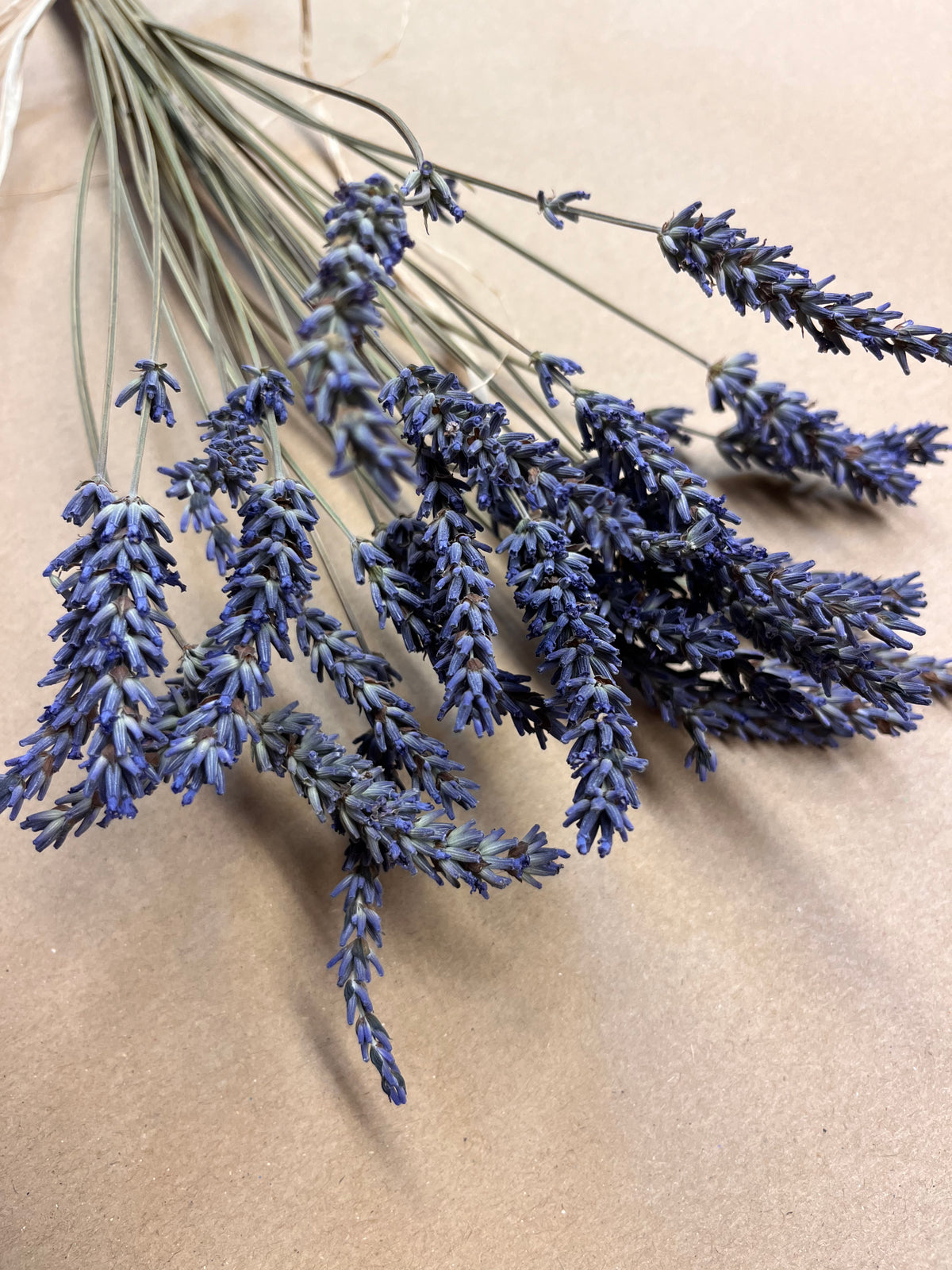 Dried Lavender