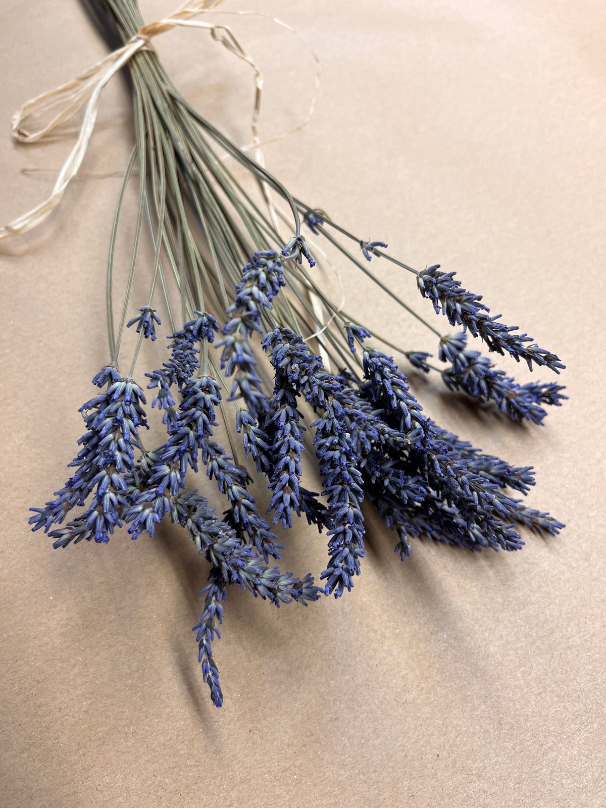 Dried Lavender