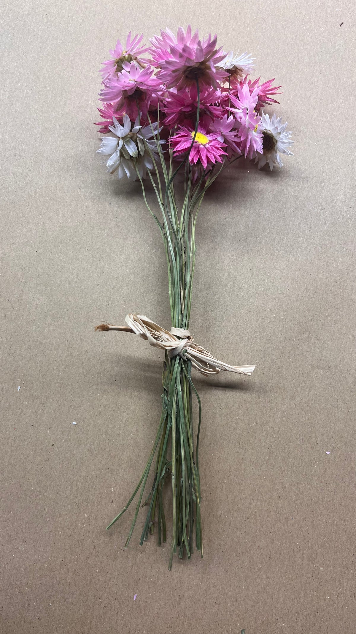 Dried Pink Straw Flower