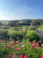 Valentine's Pick-Your-Own Voucher