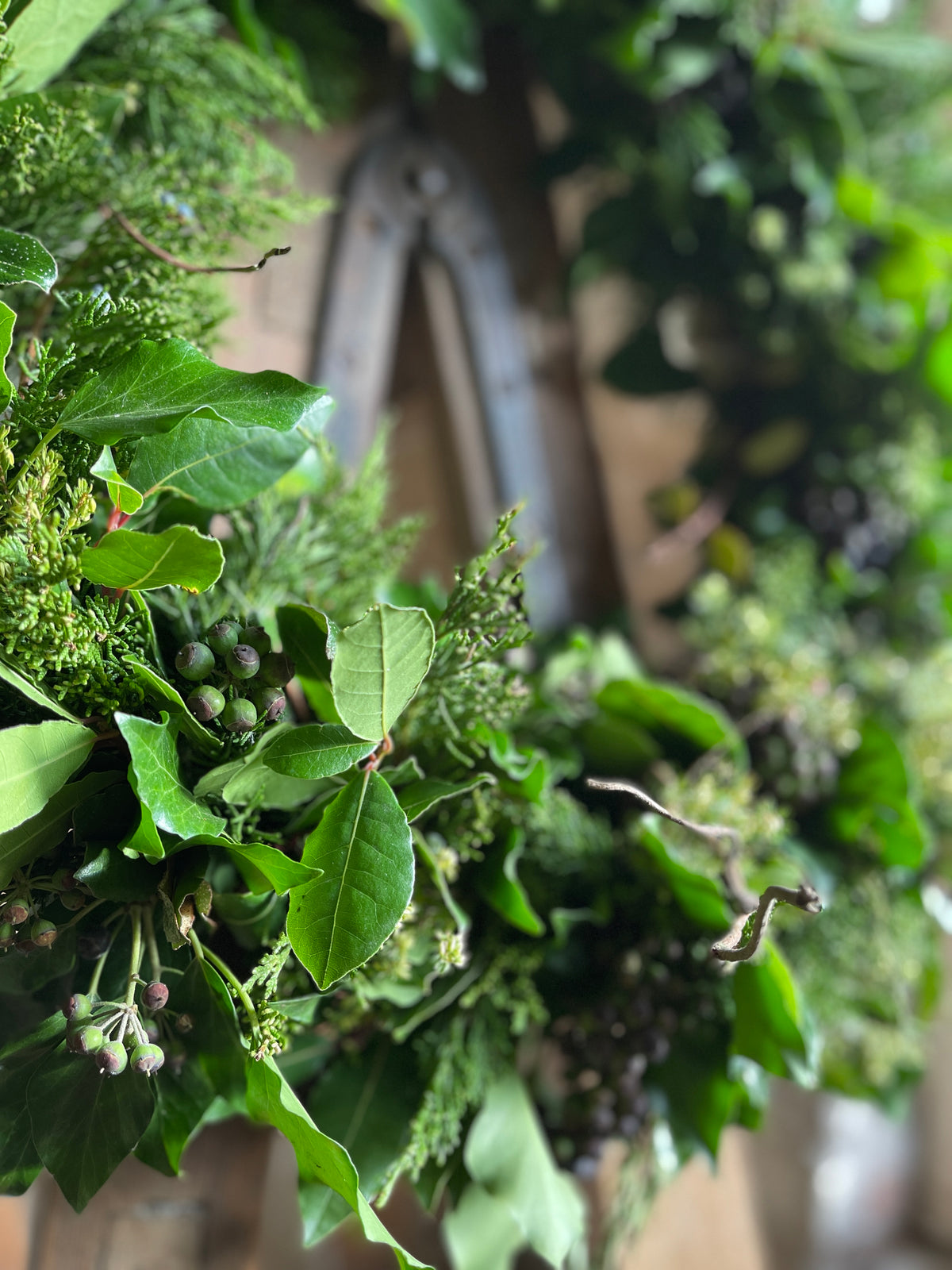 Large Christmas Wreath - Willow and Ivy