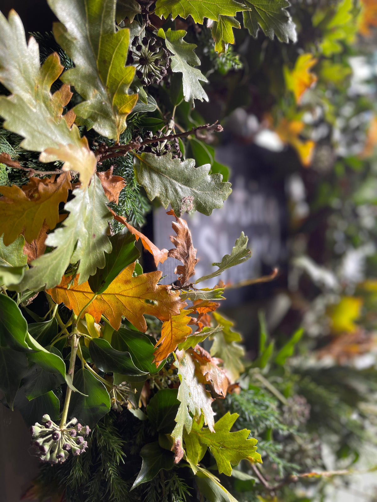 Large Christmas Wreath - Oak & Ivy