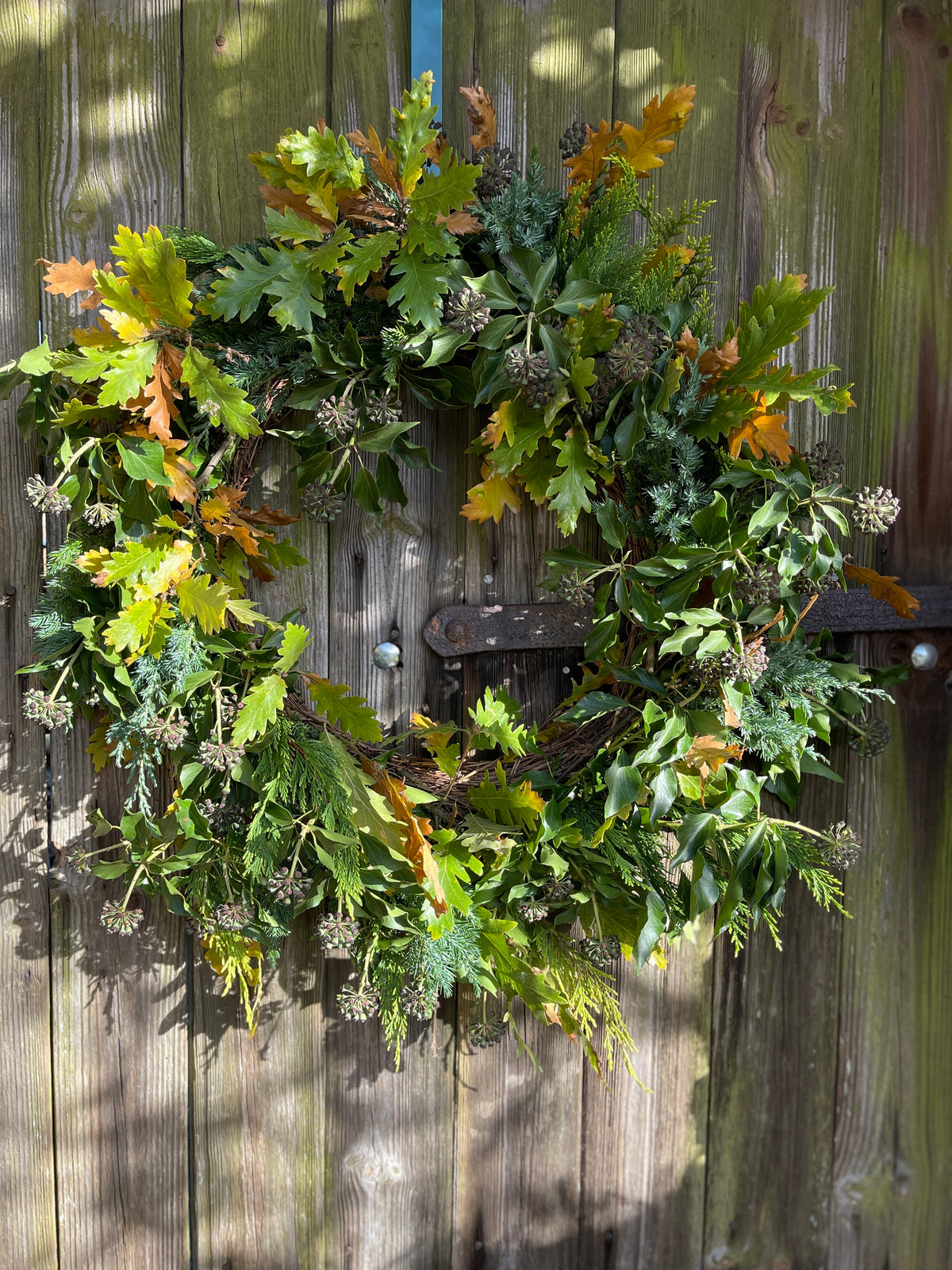 Large Christmas Wreath - Oak & Ivy