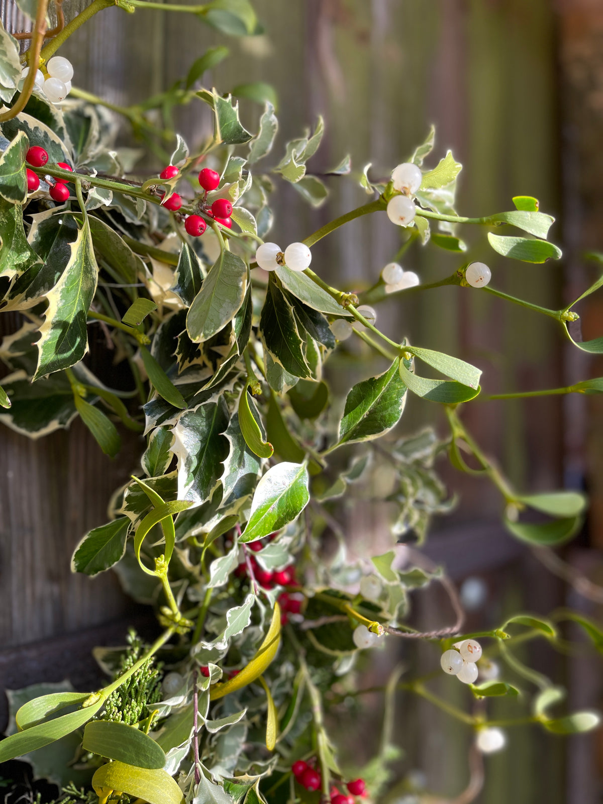 Small Christmas Wreath - Holly & Mistletoe