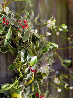 Small Christmas Wreath - Holly & Mistletoe