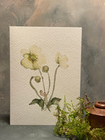 Pick-Your-Own Voucher For Two