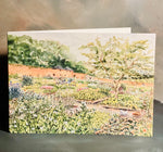 Mother's Day Pick-Your-Own Voucher