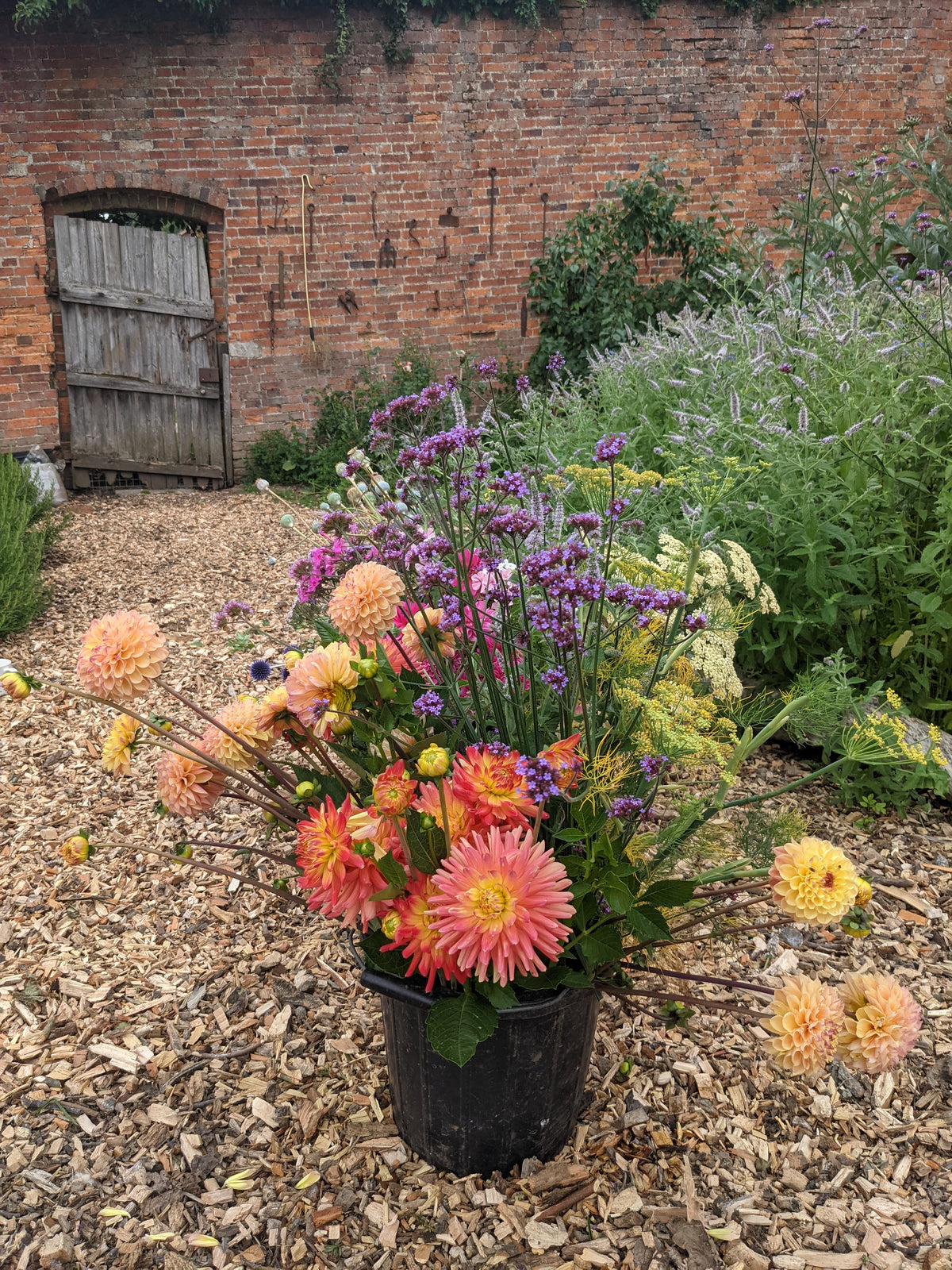 Pick-Your-Own Voucher