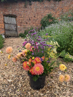 Pick-Your-Own Voucher