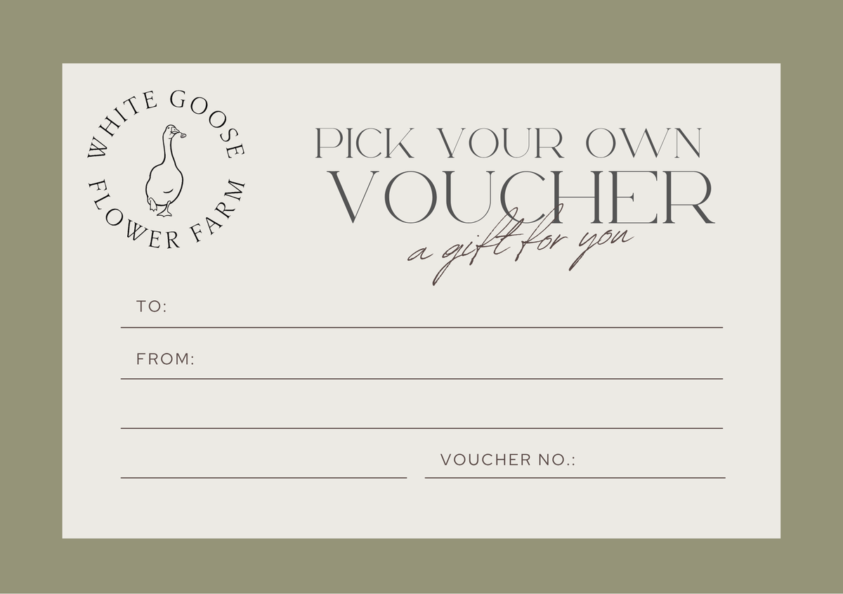 Pick-Your-Own Voucher, Mug & Christmas Card