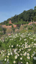 Pick-Your-Own Voucher For Two